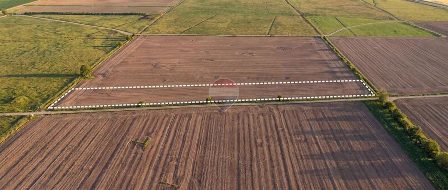 Teren agricol extravilan de 12500 mp, în Dumbrava