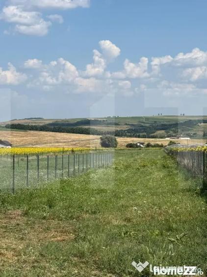 Teren în Zăicești