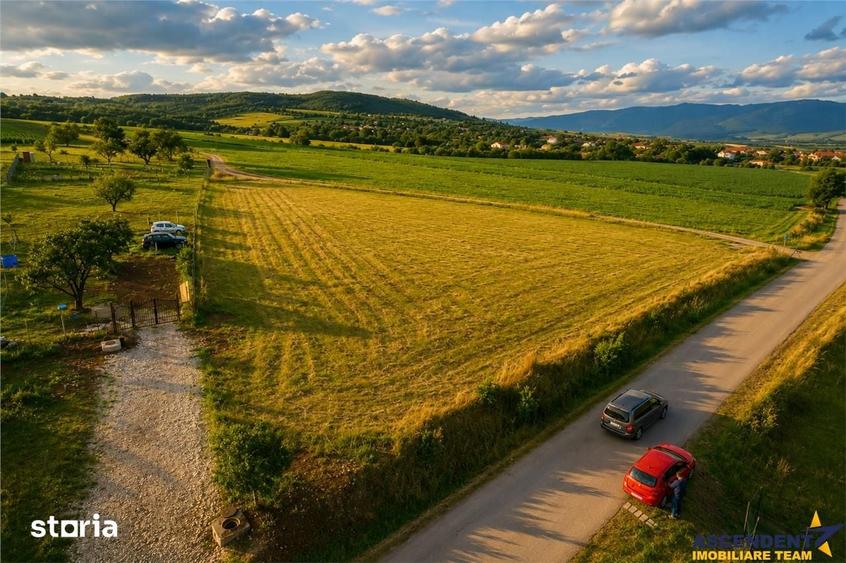 3.800mp recomandat: investitie,rezidenta vacanta,domeniu privat,Valea - 3