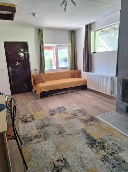 Casa de vanzare in DB, Visinesti, Urseiu - 7