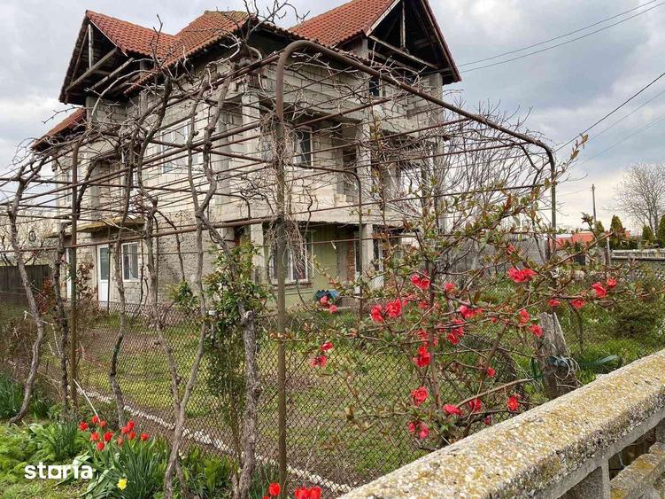 Casa la rosu in Milcov Olt - 3