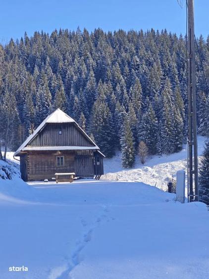 Teren intravilan Muntele Bocului | Panorama superba | 15/mp - 2