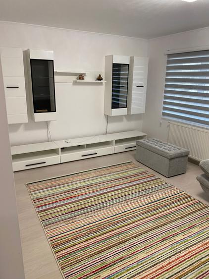 Apartament 2 camere Popa Sapca - 1