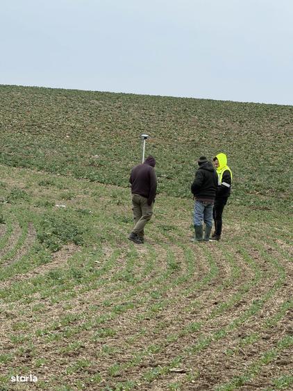 Teren arabil Vasilati - 2