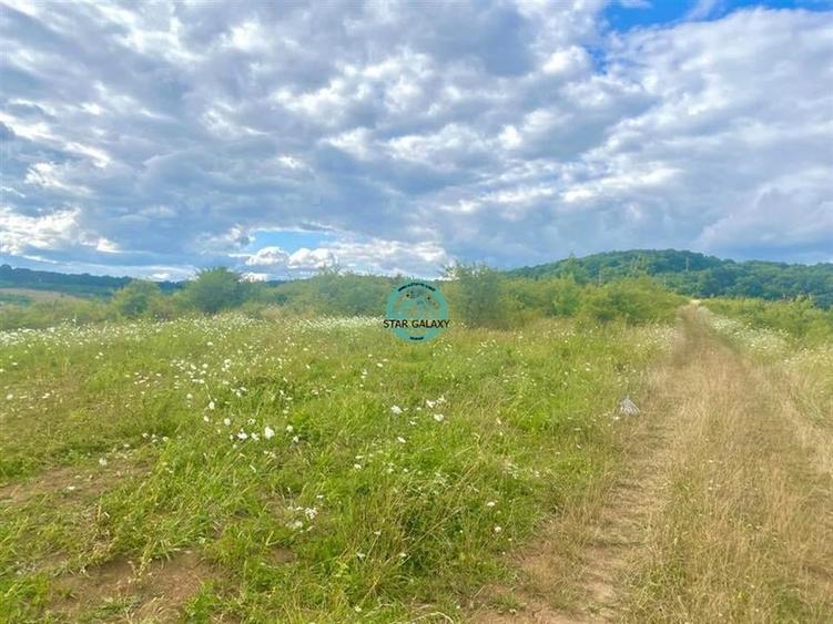 Vand teren intravilan cu suprafata 3300 mp in Livezeni - 3