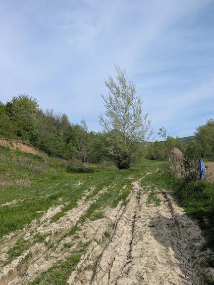 Teren de 14200 mp, în Podiș
