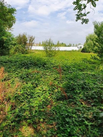 PARADISUL VERDE- teren in suprafata de 1 326 mp,. utilitati - 2