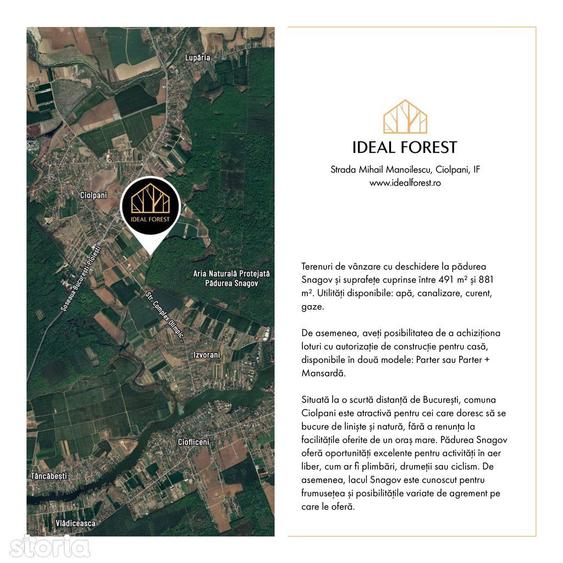 Lot de teren la pret promotional- cu deschidere la padurea Snagov! - 12
