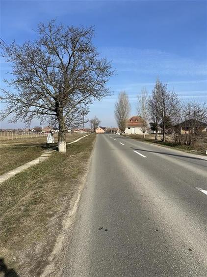 Teren intravilan Girisu De Cris - 3