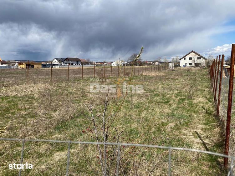 Teren de vanzare Dumbrava Rosie 20.000 Euro 900mp - 5