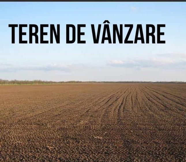 Teren Ion Creanga - 2