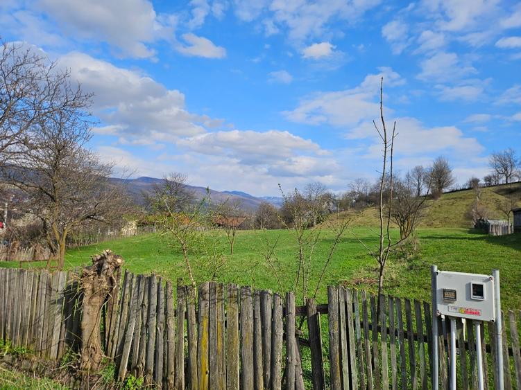 Teren intravilan Comanesti Bacau cu utilitati - 4