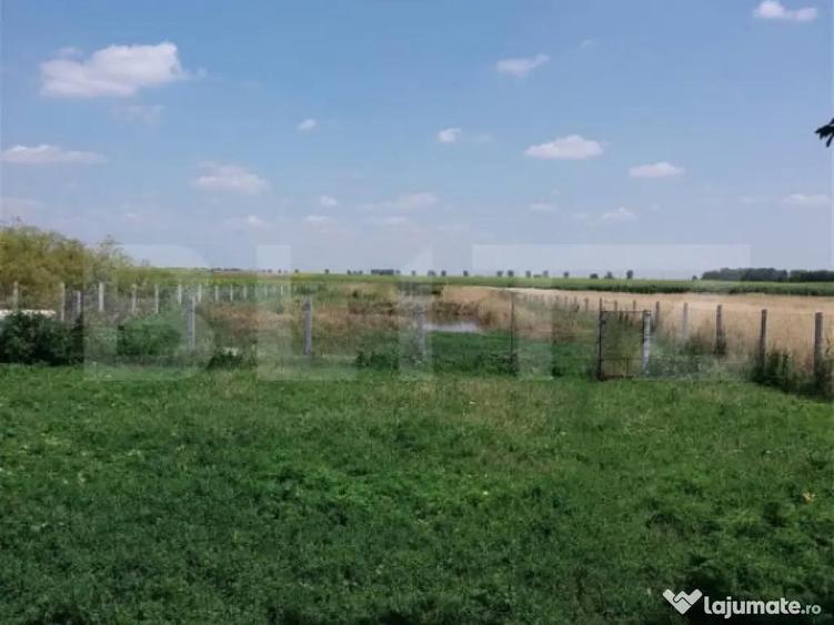 Casa pe parter 50mp utili + teren 4700mp, Bailesti - 4