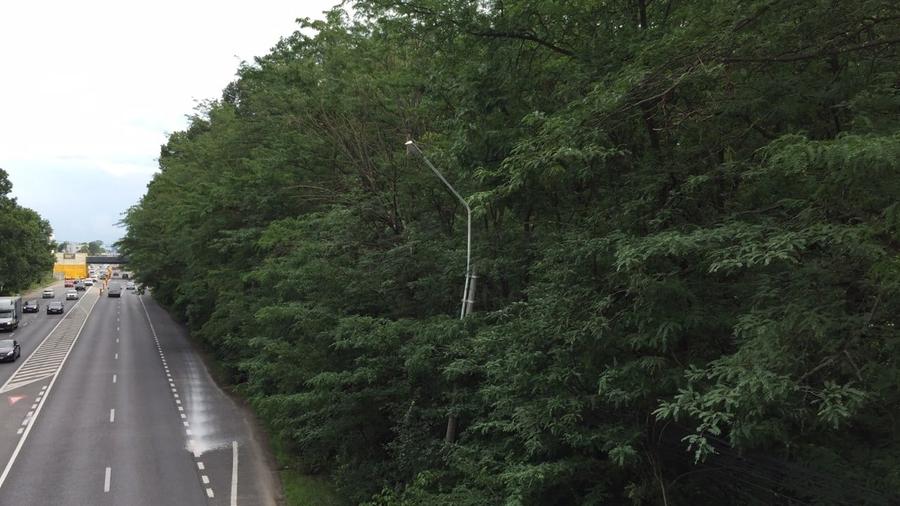 REL4000144 Teren DN1 - Padurea Petresti - 2