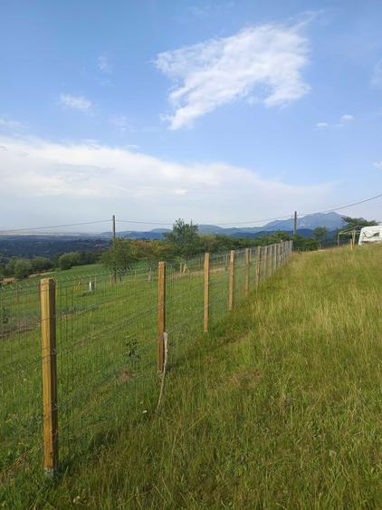 Teren intravilan BRAN-Bradul Inalt-Priveliste panoramica - 2