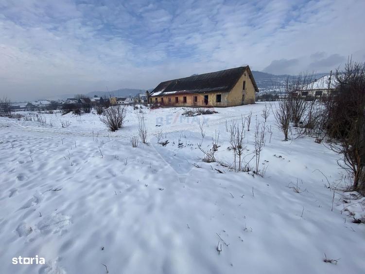 Teren Hoghilag/Dumbraveni Strada Principala - 5