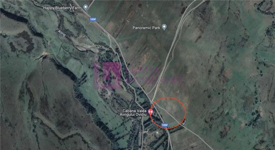 Teren intravilan 5.000 mp | Valea Avrigului | front dublu - 4