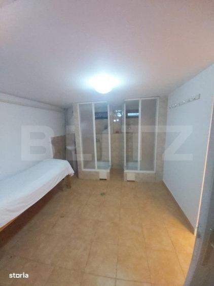 Spațiu comercial, de 100 mp, în Paltin