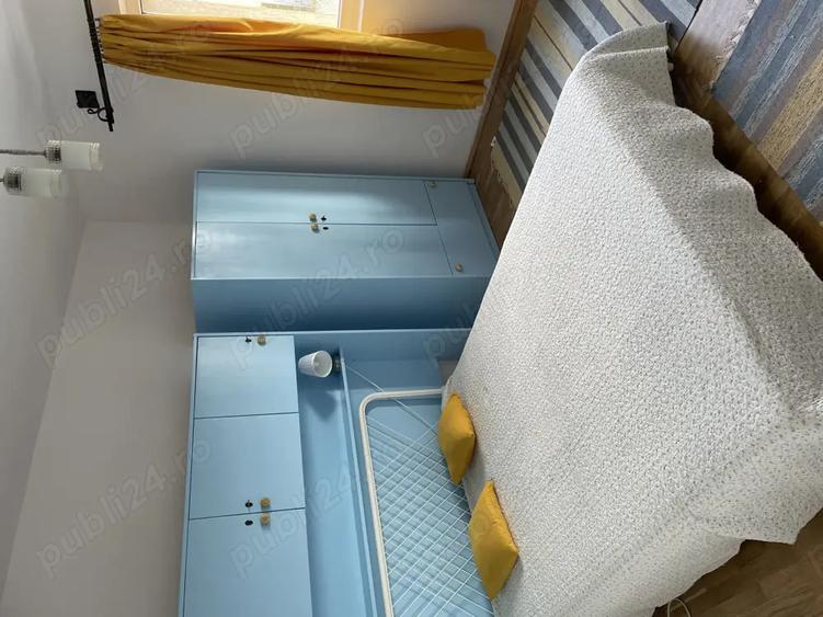 Apartament vintage-chic Grigorescu - 2