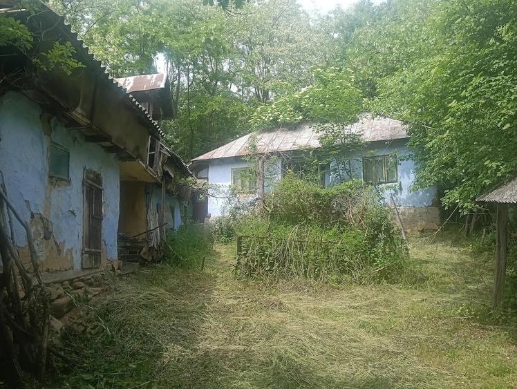 VANZARE Teren BRATILA (Paraul Mercii) - 3