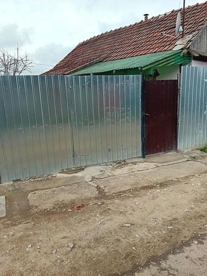 Casa de Vanzare Sanicolau Roman - 3