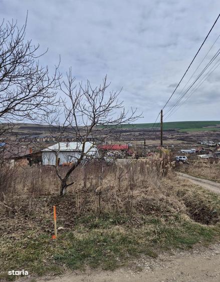 Teren 493 mp cu acces la re?elele de utilita?i - 2