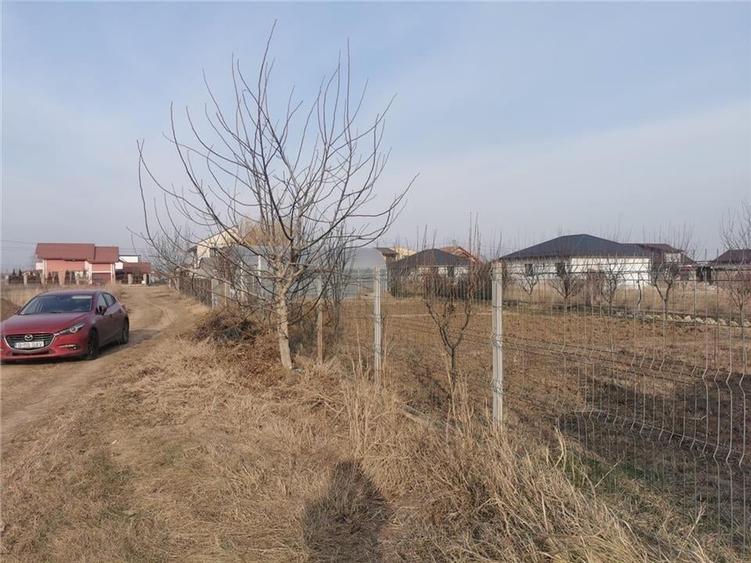 Teren 633mp imprejmuit in centru Domnesti/posibilitate schimb - 3