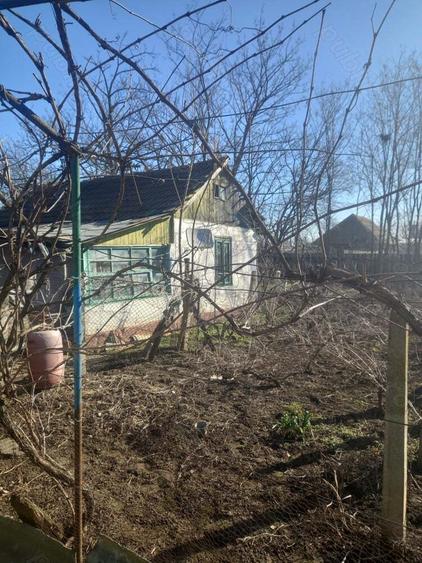 Casa de vanzare la tara - 4