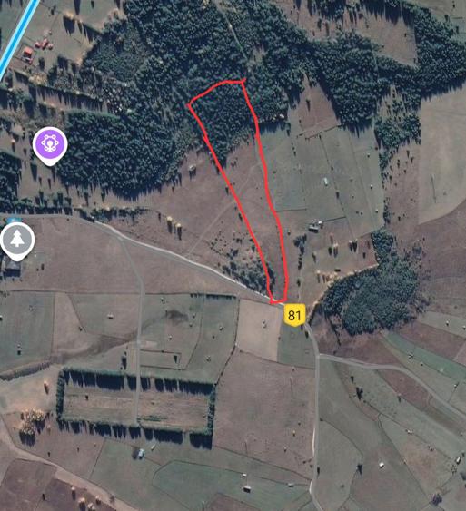 Teren de vanzare Saru Dornei 2euro / mp - 3