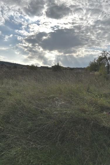 Teren intravilan Chinteni  3.449 mp doua fronturi 14/16 ml - 1