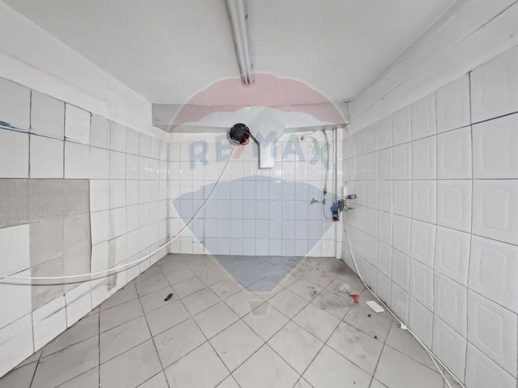 Cladire individuala 243 mp de inchiriat pe strada Mioritei - 12