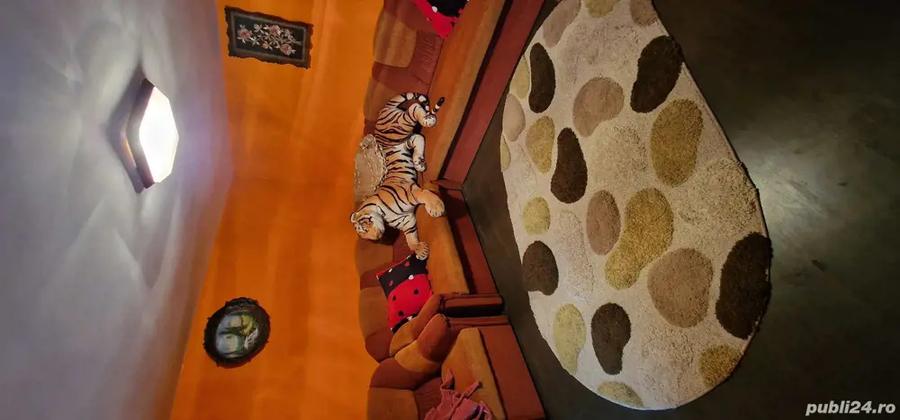 Casa de Vanzare - 10