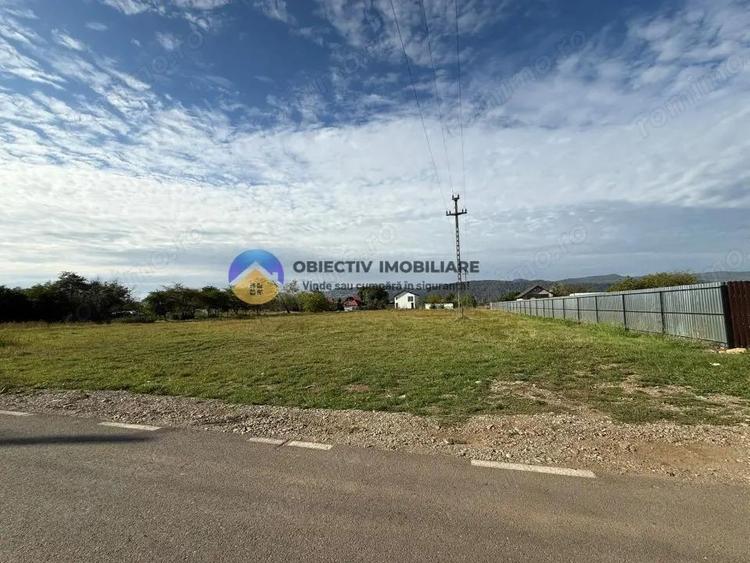 Teren de vanzare 1800 mp Dumbrava Ro?ie - 4