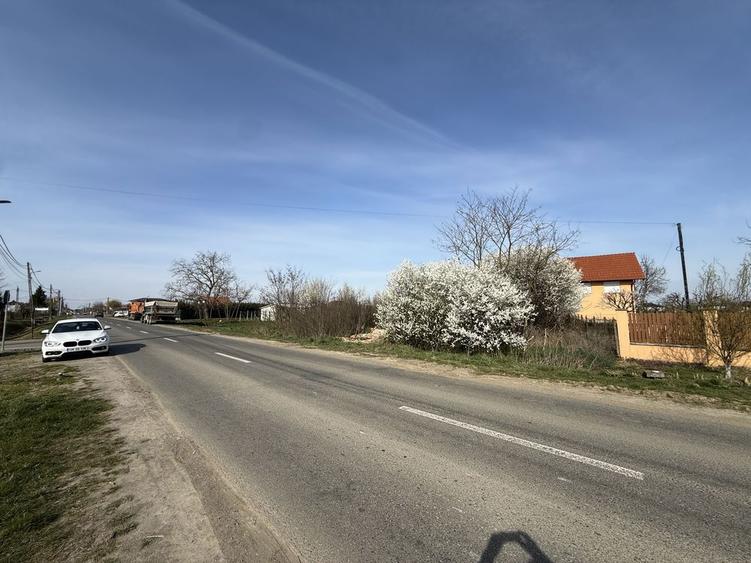 Vand Teren intravilan pt parcelare 86 Ari la intrare in Vetis - 6