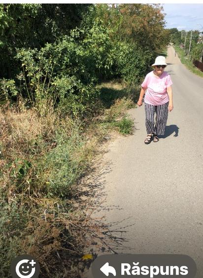 Teren intravilan si casa nelov - 1