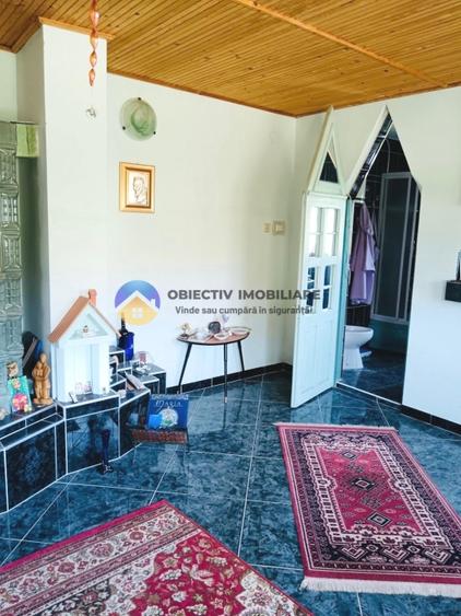 CASA comuna ALEXANDRU CEL BUN - VADURELE - 9