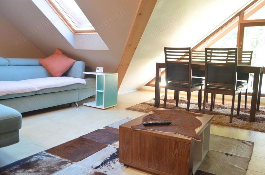 Apartament cu doua camere situat in Busteni - 9