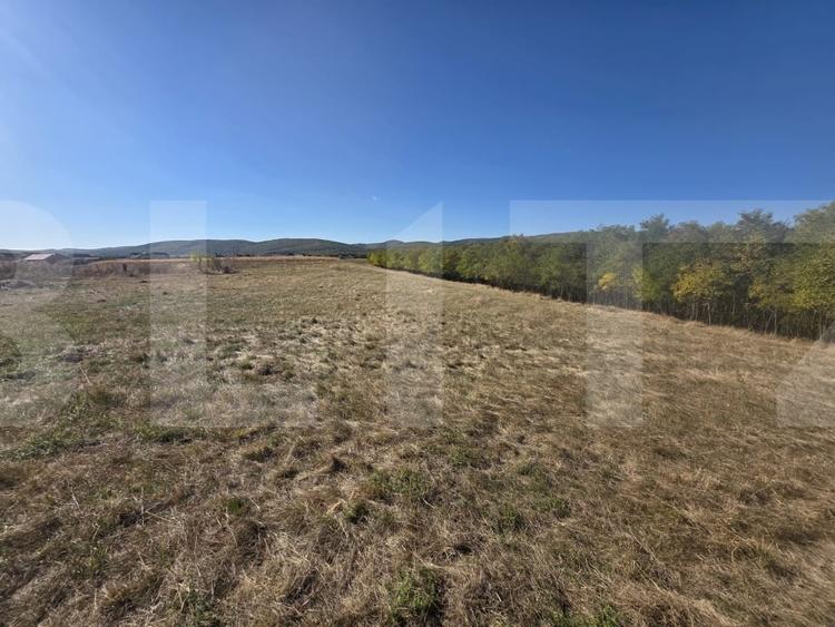 Teren Construcții intravilan de 850 mp, în Arcuș