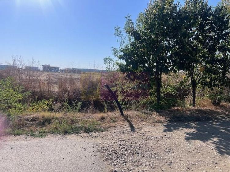 Teren Cornetu Strada Magnoliei- Pinului. - 4