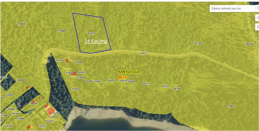 Proprietar: Vând parcele teren montan Beliș (3.000 mp - 6.500 mp) / Cadastru - 4