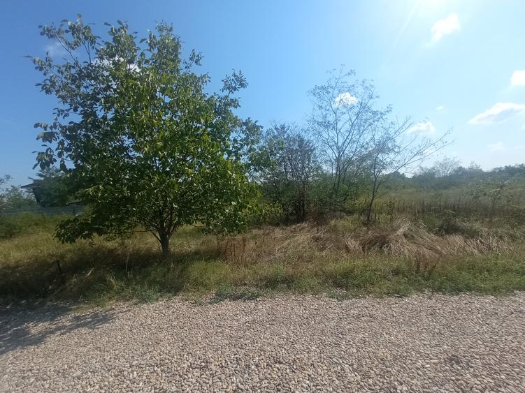 Teren 100Omp, Clinceni, Str Rozelor - 2