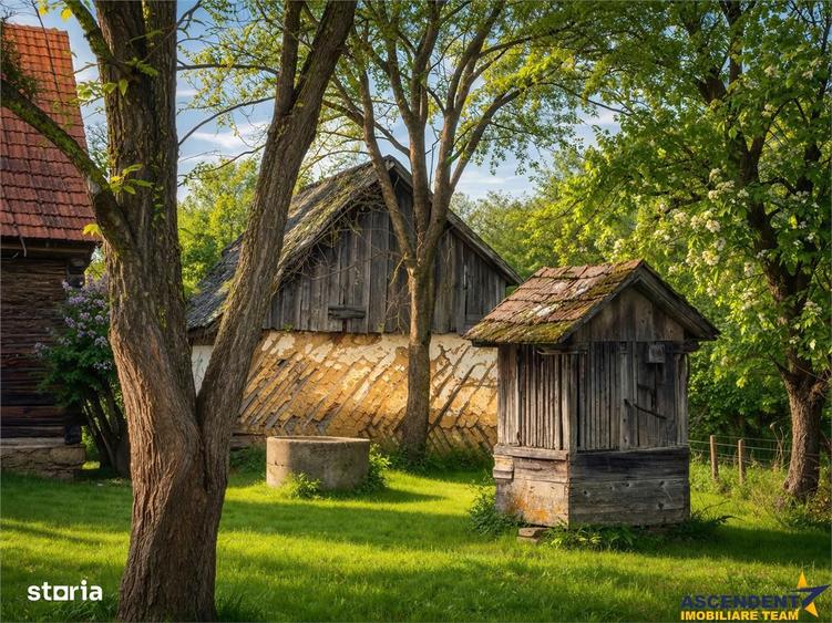 FILM! Oaza ta de liniste pe 4.900mp teren intravilan, Tufalau, Covasna - 1