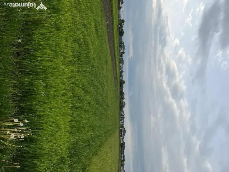 Teren de vanzare Bivolarie,Vicovu de Sus 26 ari - 1