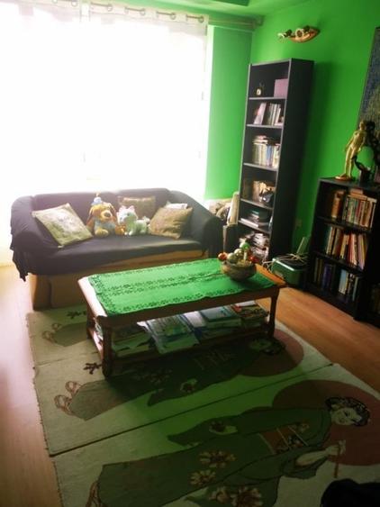 Casa D+P+E, Stefanesti -Coasta Campului, teren 1570 mp, mobilata - 7