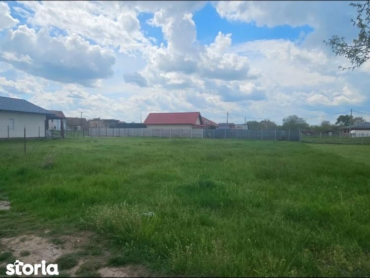 Teren 555 mp Zimandu Nou - 2