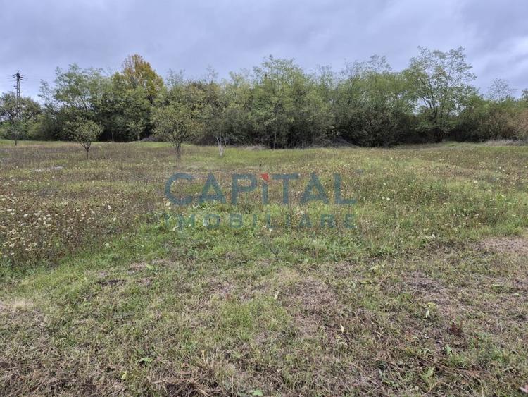 Oportunitate de investitie! Teren extravilan 11 400 mp, Apahida - 3