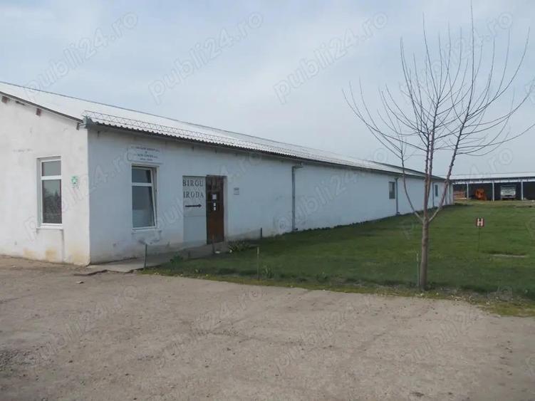 Parc industrial de vanzare - 9