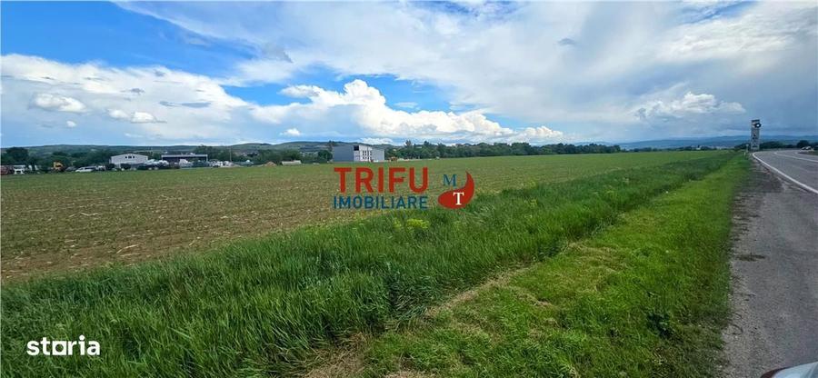 Teren intravilan industrial cu PUZ aprobat - 4