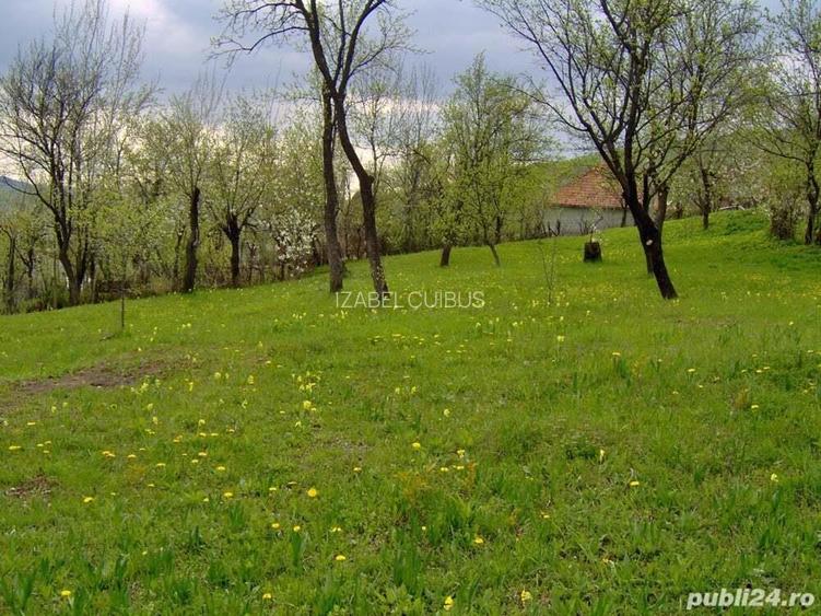 Vand teren Breaza 1.358 mp - 43.000 euro negociabil Vand teren Breaza 1.358 mp - 43.000 euro negociabil