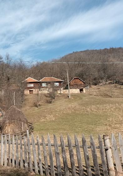 Casă cu 4 camere în Pui